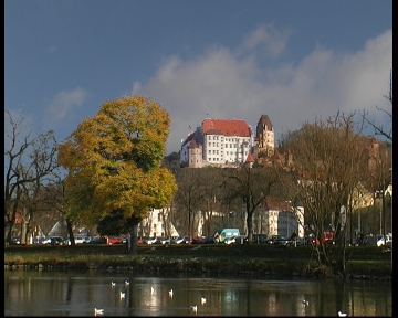 Landshut - Baum mit Blättern